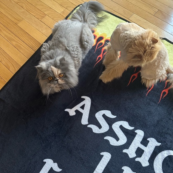 🔥 Assholes Live Forever Flame Blanket 🔥 - Picture 5 of 10